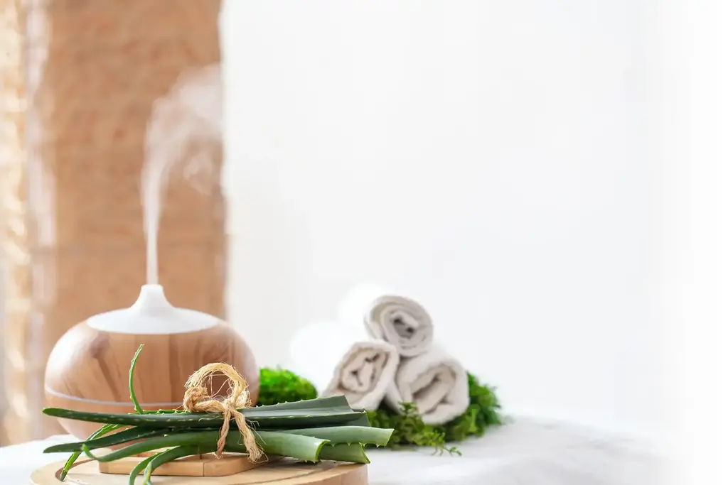 Scidoo gestionale SPA terme e centri benessere Gestionale Scidoo per SPA terme centri benessere e trattamenti